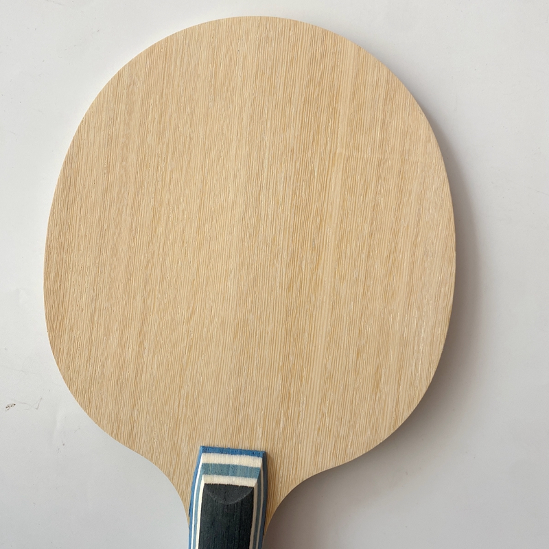 Lemuria VIS Carbon Fiber Tafel - Table Tennis Xu Xin recensie en prijs